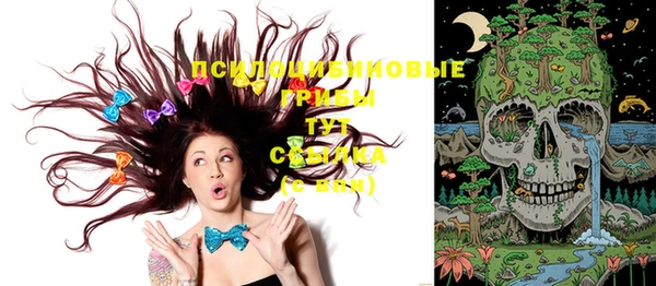 PSILOCYBIN Алексеевка