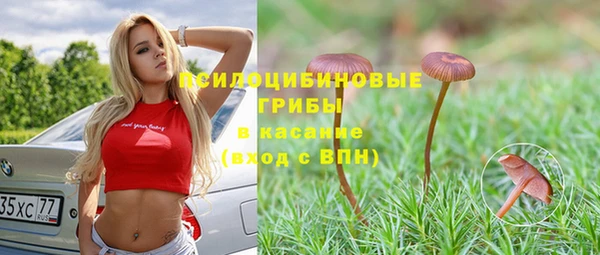 эйфоретик Алексин